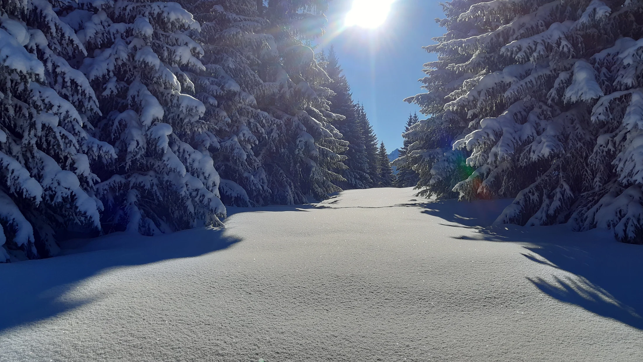 Randonnée hiver demi-journée